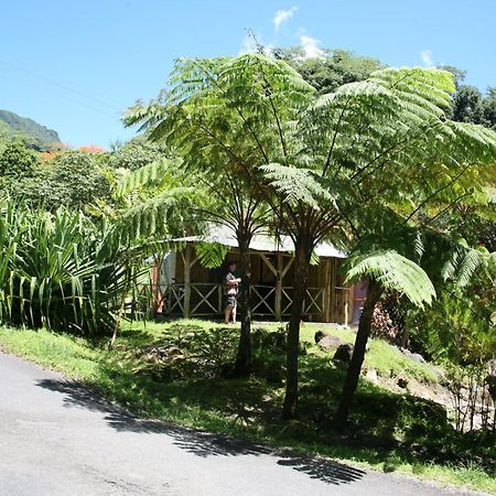 Natty Tropical Valley Розо Екстериор снимка