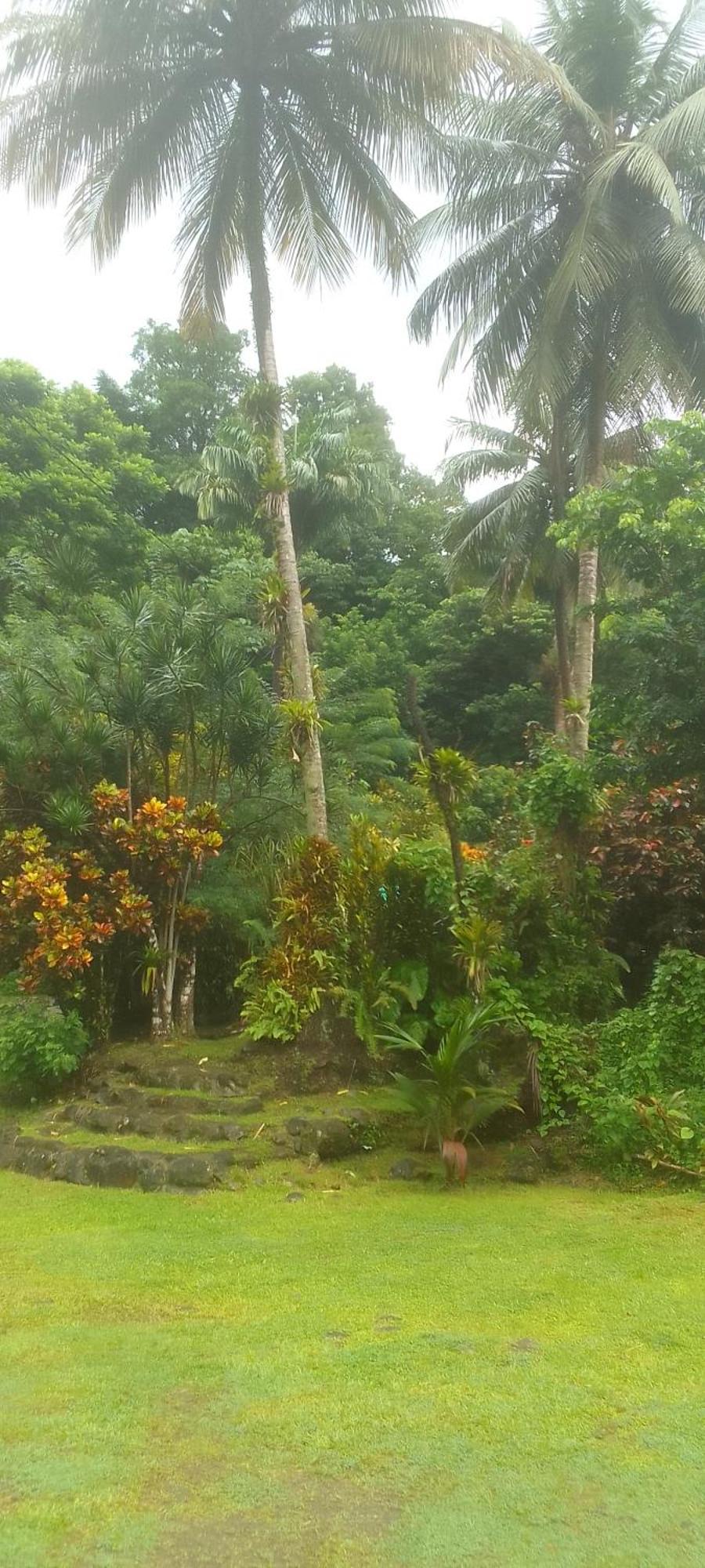 Natty Tropical Valley Розо Екстериор снимка