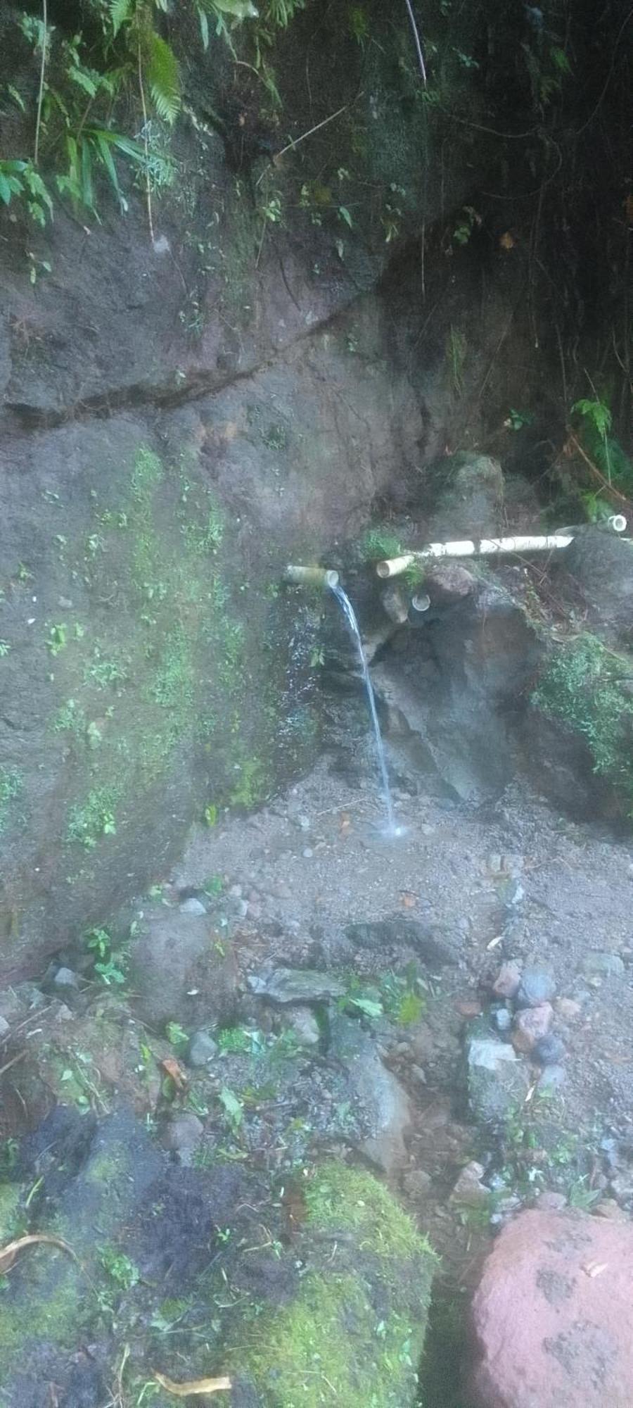 Natty Tropical Valley Розо Екстериор снимка